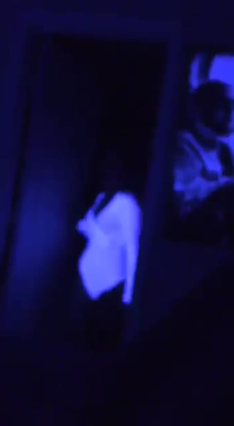 Video by @bid0head