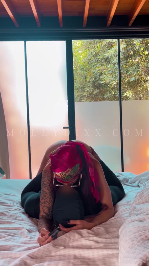 @mollydixx video on ContentHub