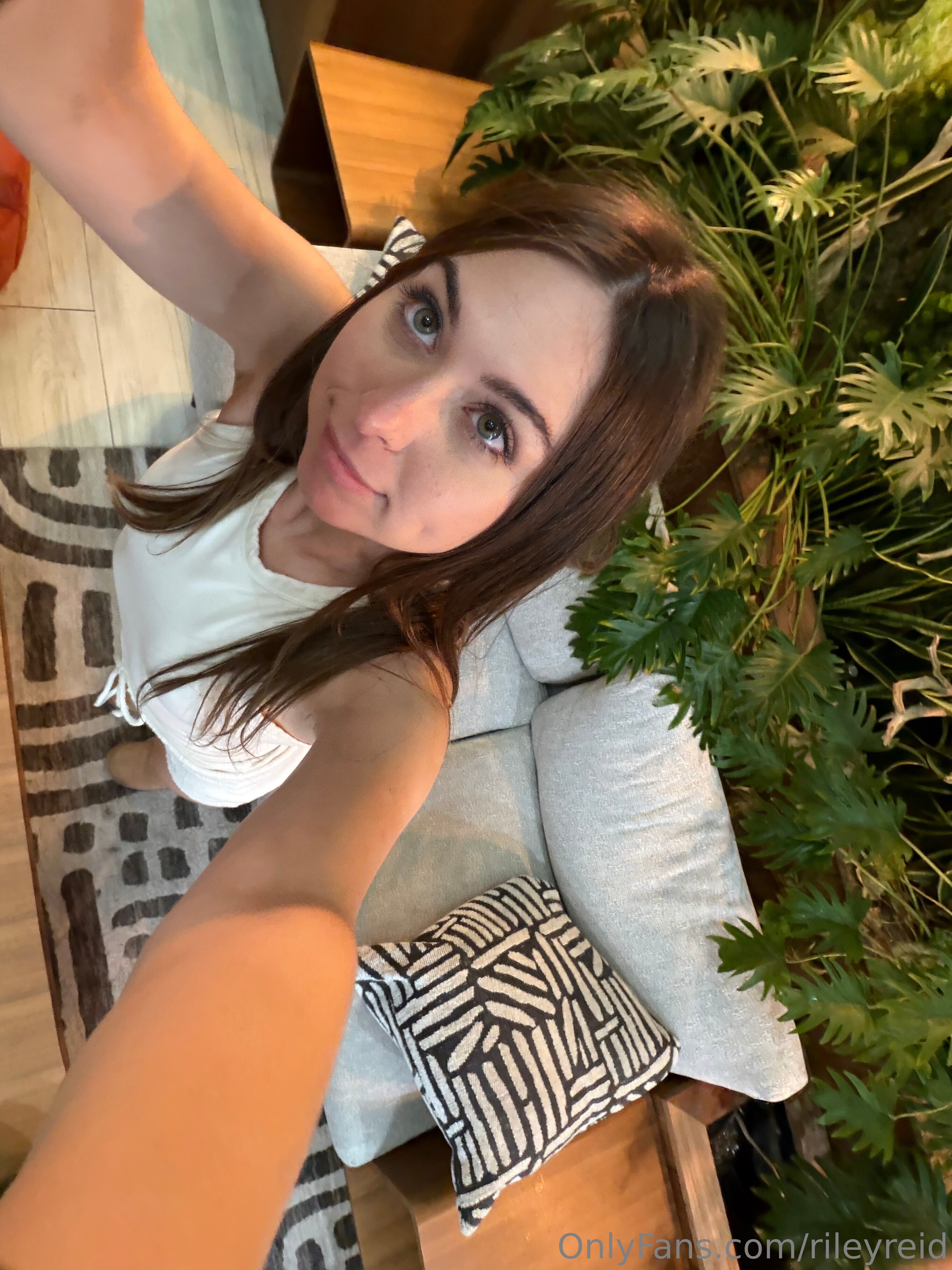 @letrileylive photo on ContentHub
